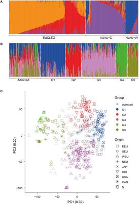 A Genome-Wide Genetic Diversity Scan Reveals Multiple Signatures of Selection in a European Soybean Collection Compared to Chinese Collections of Wild and Cultivated Soybean Accessions